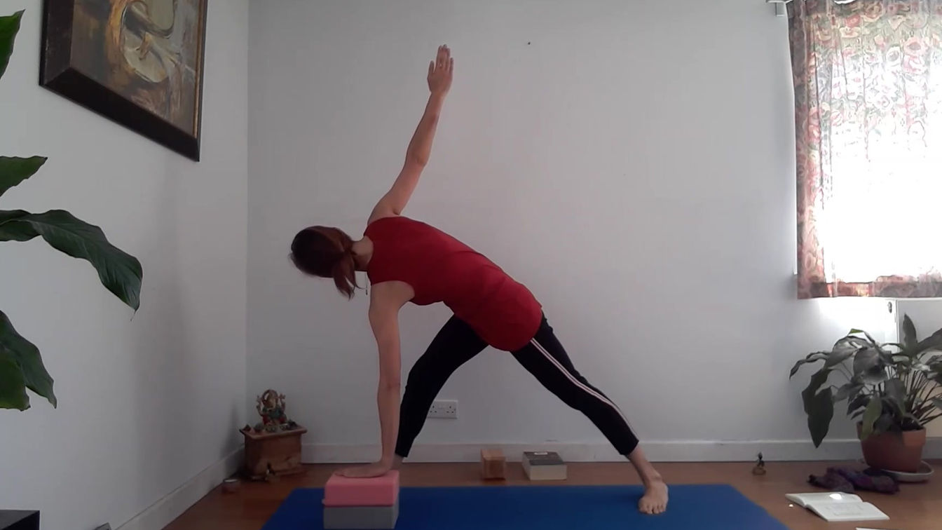 Reverse triangle for beginners